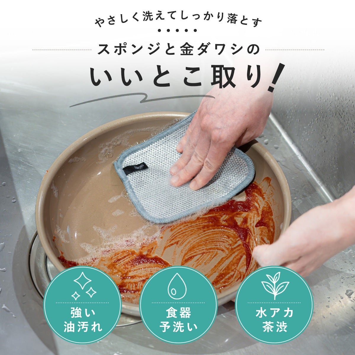 たわスポ